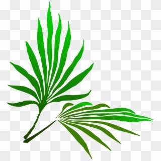 Palm Leaf Clipart - Palm Sunday Clip Art Free, HD Png Download