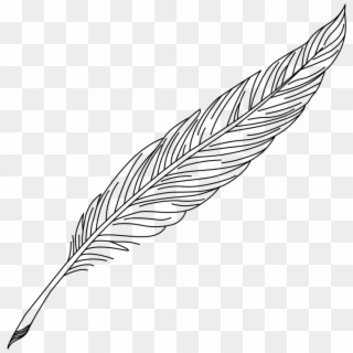 Feather Quill Nib Pens Ink - Feather Quill Pen Drawing, HD Png Download
