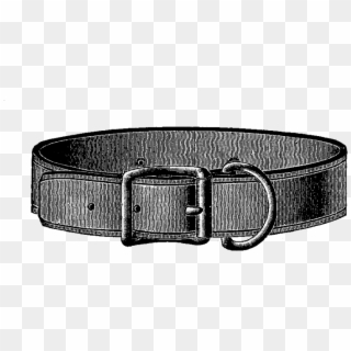 Dog Collar 1262png-1024x525 - Belt, Transparent Png