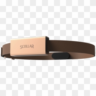 Scollar Pet Collar, HD Png Download