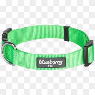 Blueberry Pet Classic Solid Dog Collar, HD Png Download
