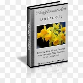 Forsythia, HD Png Download