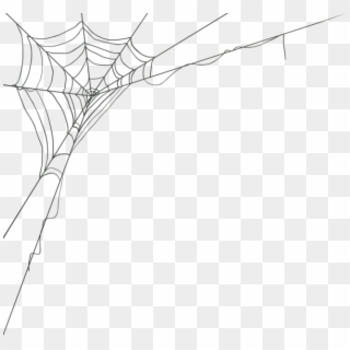 Spider Web Corner Png Clip Art Image - Spider Web Corner Png, Transparent Png