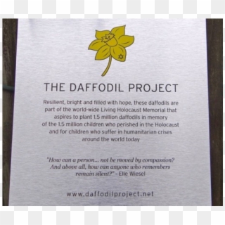 A Week After The Daffodil Project, On Jan - Narcissus, HD Png Download
