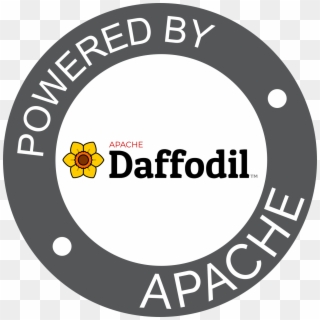 Daffodil - Circle, HD Png Download