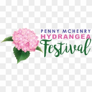 The Penny Mchenry Hydrangea Festival - Hydrangea Serrata, HD Png Download