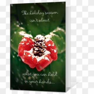Christmas Card, HD Png Download