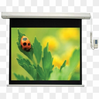Electric Projection Screen - Projector Screen, HD Png Download