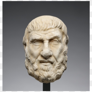 The Unkempt Beard, Furrowed Forehead, And Arched Eyebrow - Greek Philosopher Head, HD Png Download
