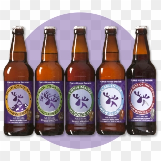 Beers Png - Dark Side Of The Moose - Purple Moose Brewery, Transparent Png