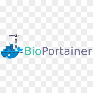 Bioportainer Workbench Is An Open-source Software Developed - Graphics, HD Png Download