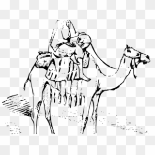 Camel Drawing Pencil - Man On Camel Drawing, HD Png Download