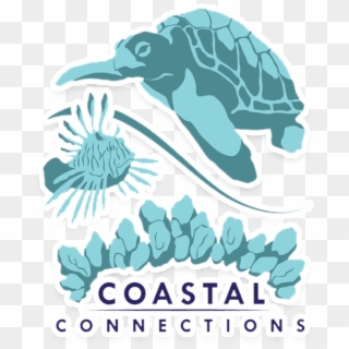 Coastal Connections Vero Beach, HD Png Download