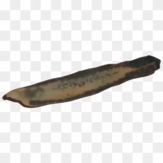 Loading Zoom - Andouillette, HD Png Download