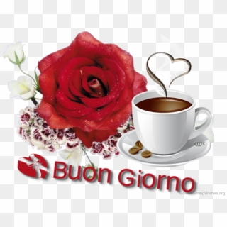 Brilliant Pic Of Good Morning - Buongiorno Cards, HD Png Download