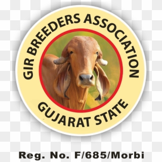 Gir Breeders Association, HD Png Download