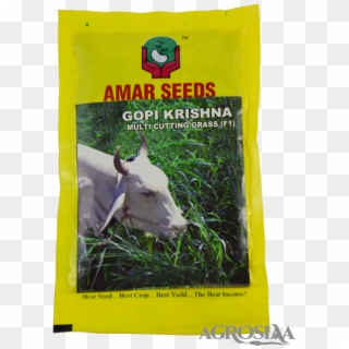 Amar - Gopi Kishan Grass, HD Png Download