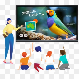 Flip Learning On Its Head With A Viewboard™ Digital - Finch, HD Png Download