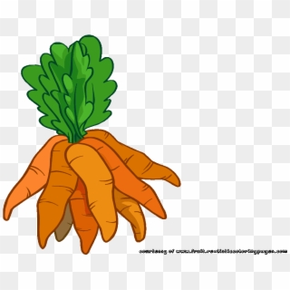 Clipart Carrot, HD Png Download