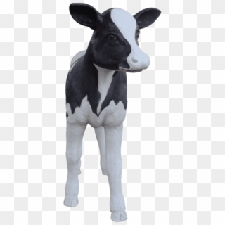 Cow Holstein Calf - Dairy Cow, HD Png Download