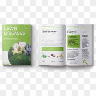 Lawn Disease E-book Download - Calm And Carry On Poster, HD Png Download
