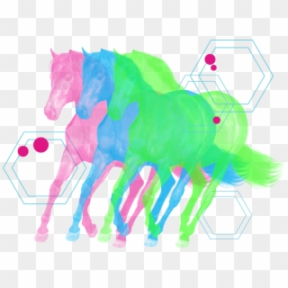 Colorful Horses - Child Art, HD Png Download