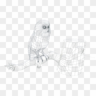3dmarkers Sova Frame - 3д Модель Совы, HD Png Download