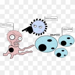 Effetto “contagio” E Ruolo Del Sistema Immunitario - Cartoon, HD Png Download