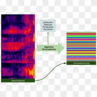 Audio Summary Of Chromophonia's Algorithm - Speech Spectrogram, HD Png Download