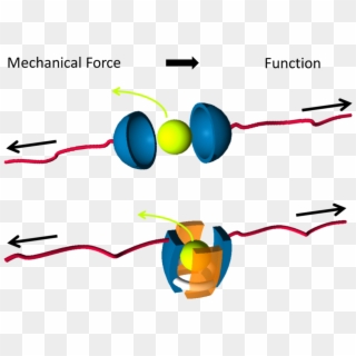 Mechano-summary - Mechanochemistry, HD Png Download