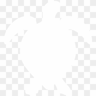 Sea Turtle Silhouette By Paperlightbox - White Turtle Silhouette, HD Png Download