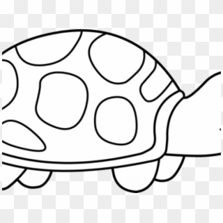 Cute Turtle Clipart - Tortoise Black And White Clipart, HD Png Download