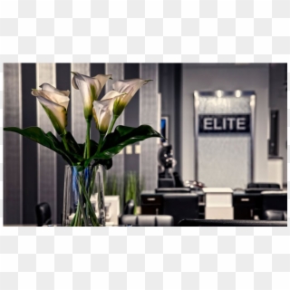 Elite Salon & Spa - Bouquet, HD Png Download