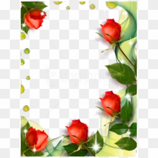 Free Png Beautiful Transparent Photo Frame With Roses - Roses Borders And Frames, Png Download