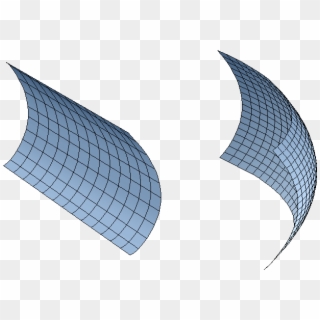 “single Curvature” Or “double Curvature” Parabolic - Architecture, HD Png Download