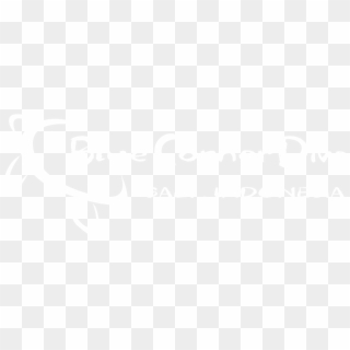 Bluecornerdive Logo - Johns Hopkins Logo White, HD Png Download