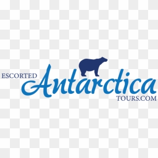Escorted Antarctica Tours - Grizzly Bear, HD Png Download