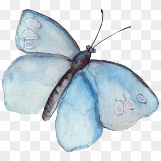 Clipart Wallpaper Blink - Watercolor Butterfly Clipart, HD Png Download