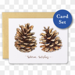 Pinecones Warm Wishes Card Set Of - Dj Cam Loa Project, HD Png Download