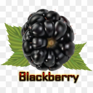 Blackberry, HD Png Download