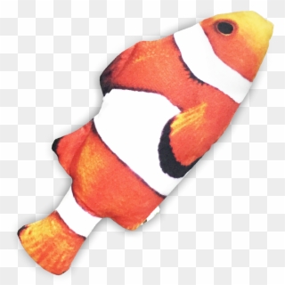 Seafood Cuddle Fish - Coral Reef Fish, HD Png Download