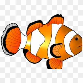 Clipart Coral Reef Fish, HD Png Download