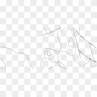 Veins Drawing Back Hand - Line Art, HD Png Download