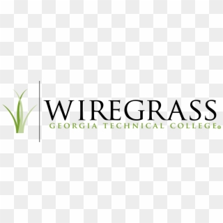 Wiregrass Logo Grnblk Png - Graphics, Transparent Png