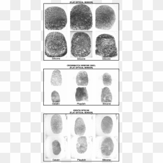 Typical Examples Of Real And Fake Fingerprint Images - Real Fingerprint Samples, HD Png Download