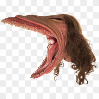 Beetlejuice Png My Uploads - Beetlejuice Geena Davis Face, Transparent Png