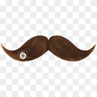 Brown Moustache - Beard, HD Png Download