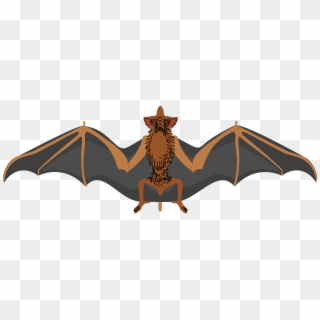 Vector - Bat Wings Spread Out, HD Png Download