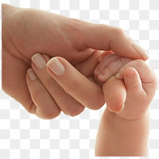 Hands Sticker - Mother Baby, HD Png Download