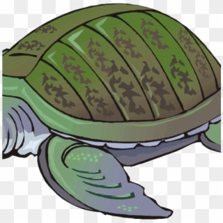 Clipart Turtle Free Turtle Clipart Clip Art For Students - Tortoise, HD Png Download